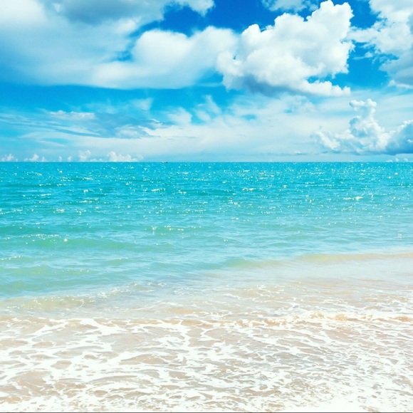 Meet your Posher, Lauren - Picture 1 of 1